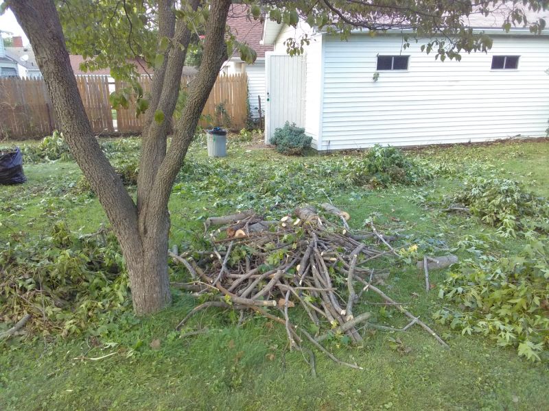 Cost of Tree Care Services — Cost of Tree Care Services