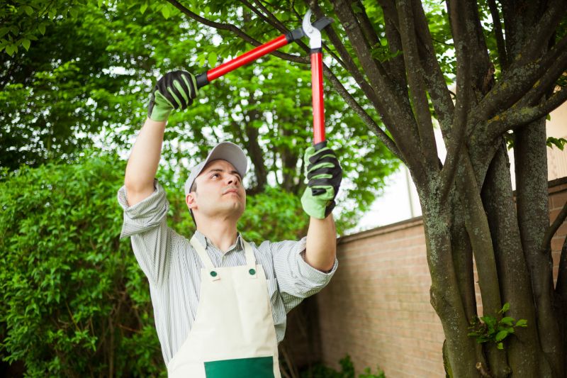 Cost of Tree Care Services — Cost of Tree Care Services
