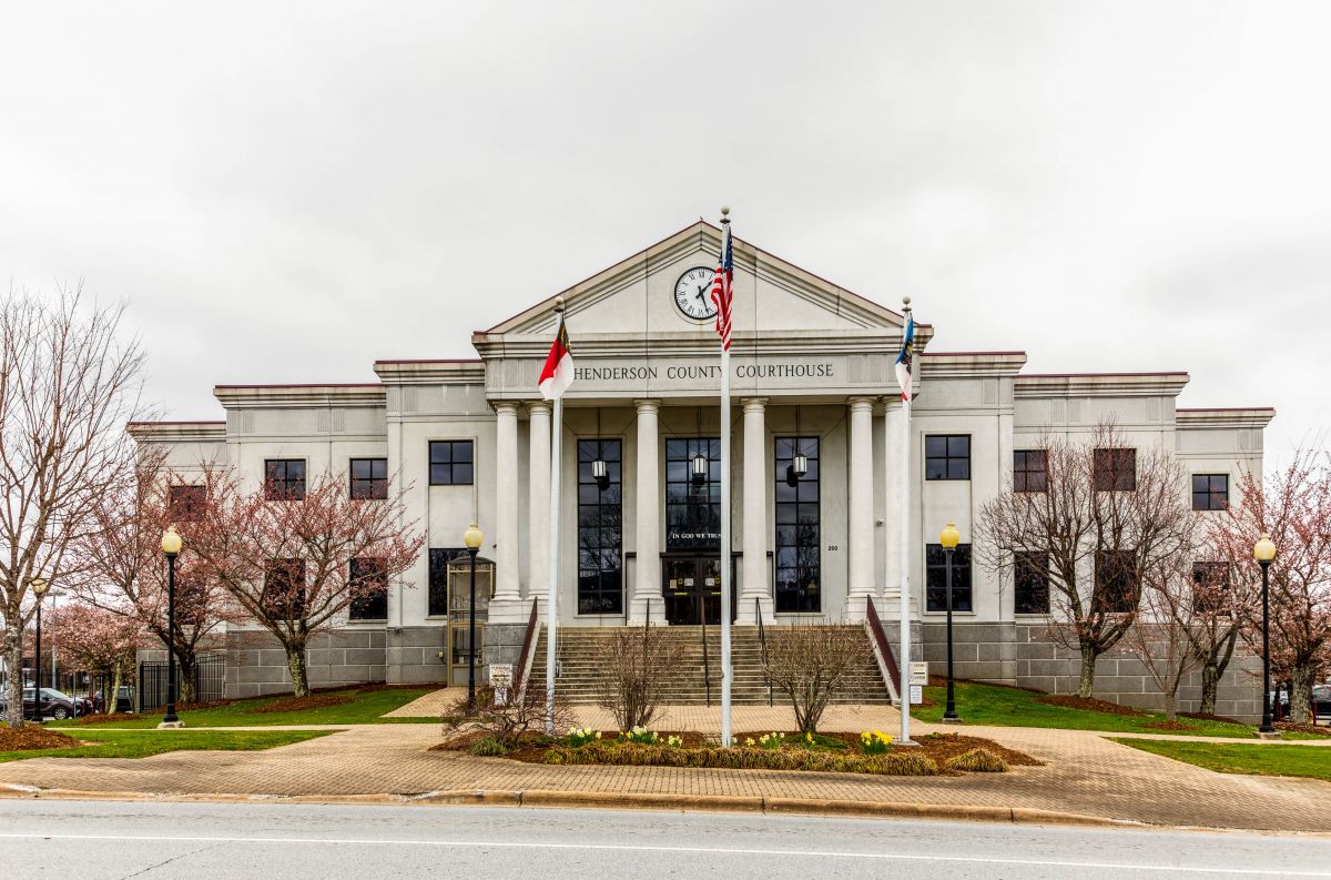 Tree Removal: Hendersonville